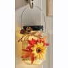 Solar Lit Fall Mason Jar