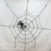 Spider and Web