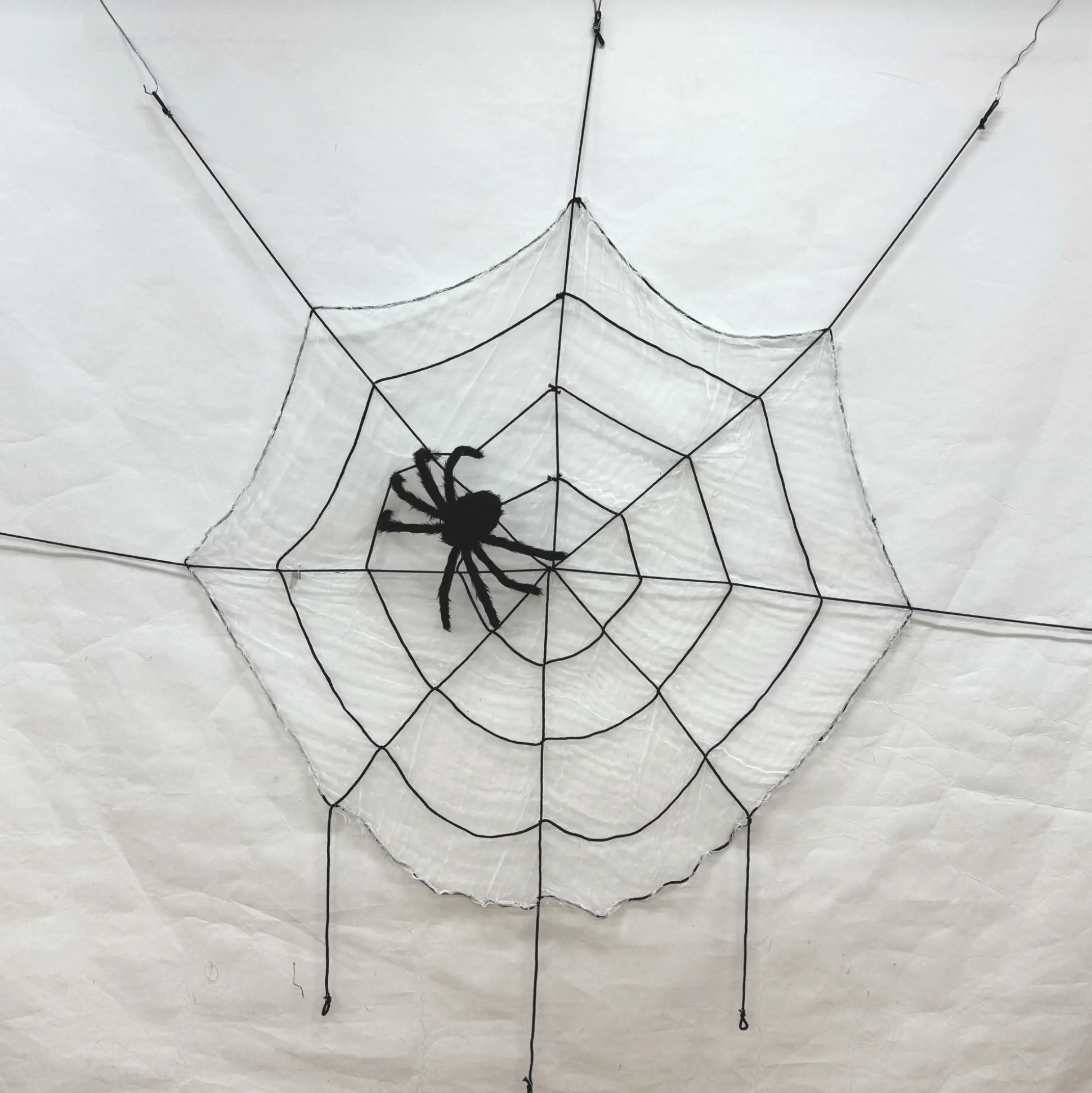 Spider and Web