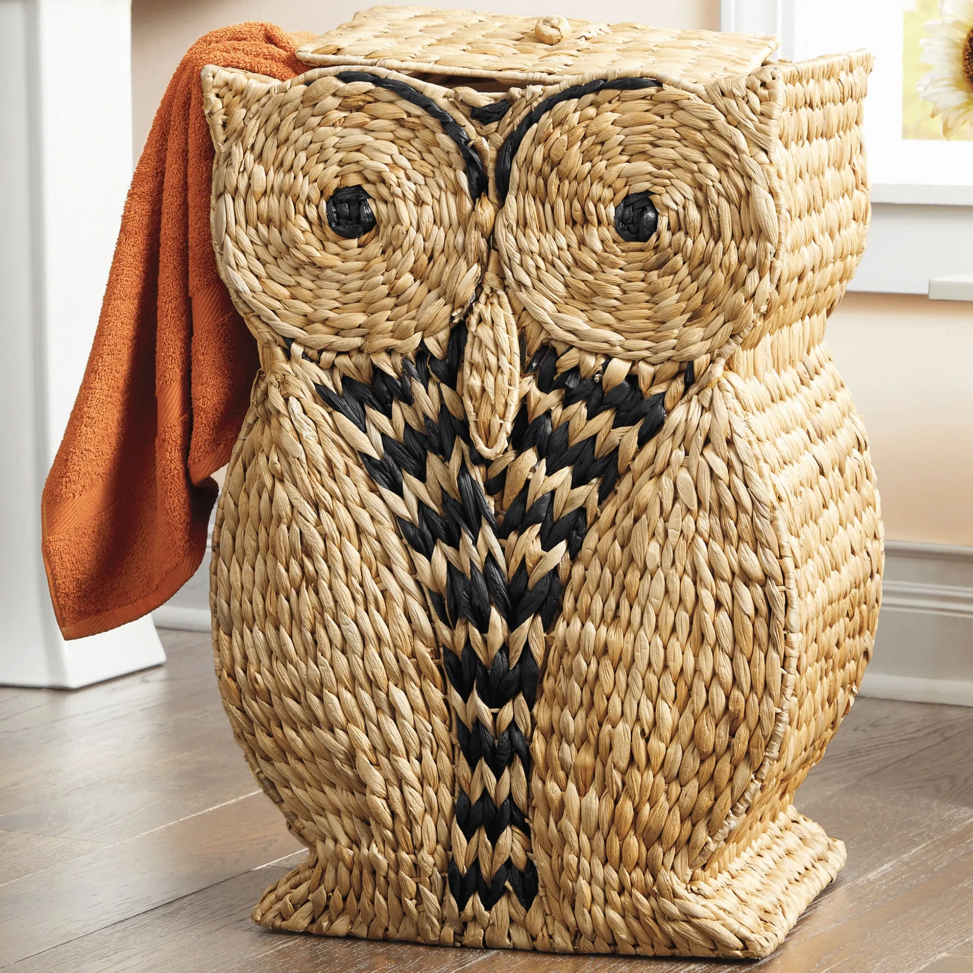 Wise Owl Hamper